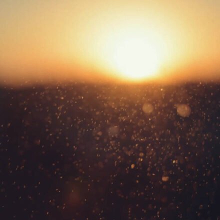 Today’s best proverb: “Even sunshine negotiates with dust to form shadows” Even brilliance must bargain with resistance