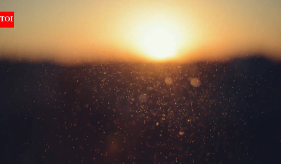 Today’s best proverb: “Even sunshine negotiates with dust to form shadows” Even brilliance must bargain with resistance