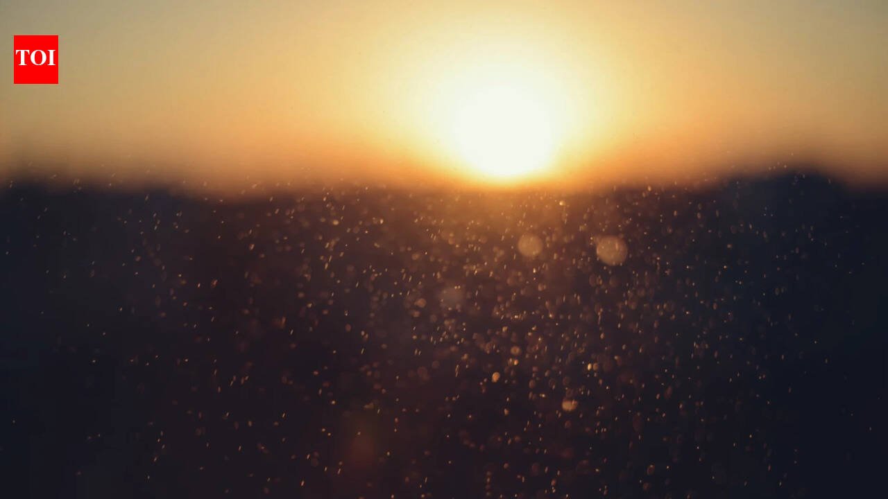 Today’s best proverb: “Even sunshine negotiates with dust to form shadows” Even brilliance must bargain with resistance