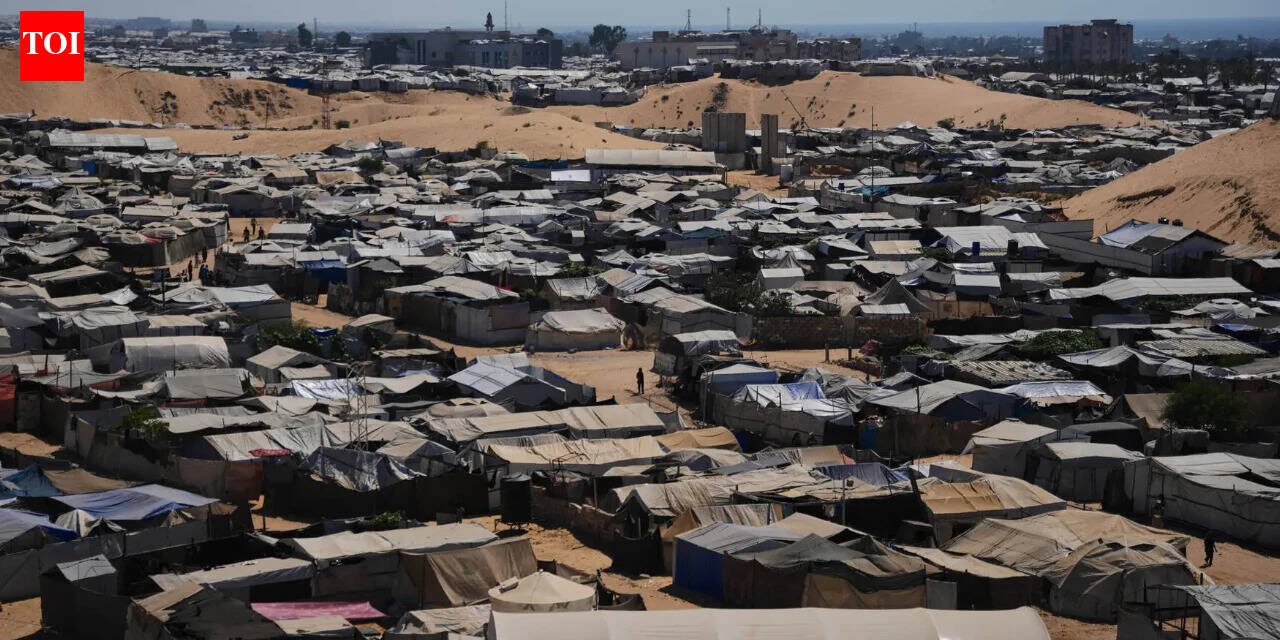 Trump peace commission plans to pilot 'humanitarian zone' in southern Gaza: official