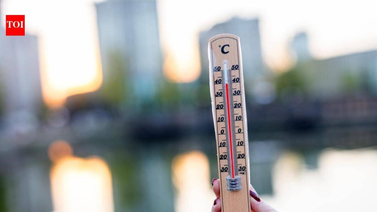 UK heatwave 2026: Temperatures set to peak at 36C during UK heatwave, health warning issued | World News