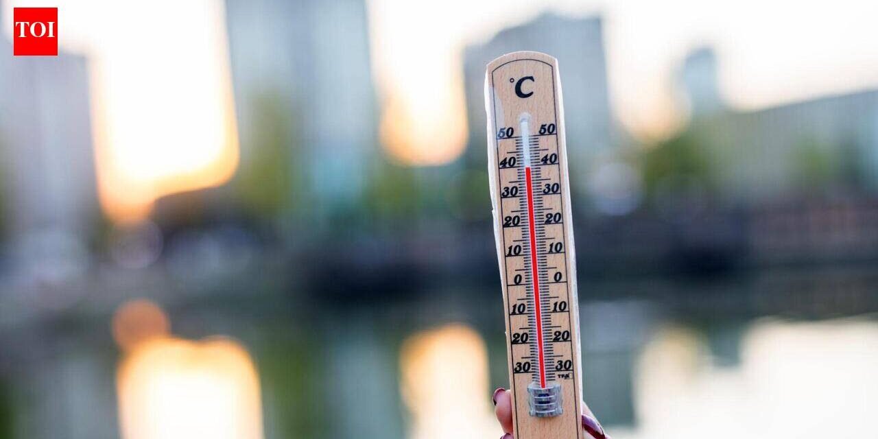 UK heatwave 2026: Temperatures set to peak at 36C during UK heatwave, health warning issued | World News