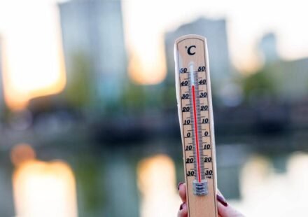 UK heatwave 2026: Temperatures set to peak at 36C during UK heatwave, health warning issued | World News