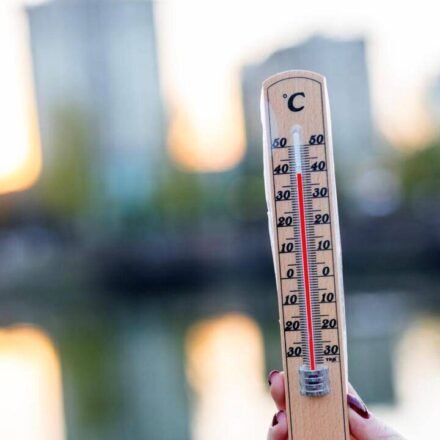 UK heatwave 2026: Temperatures set to peak at 36C during UK heatwave, health warning issued | World News