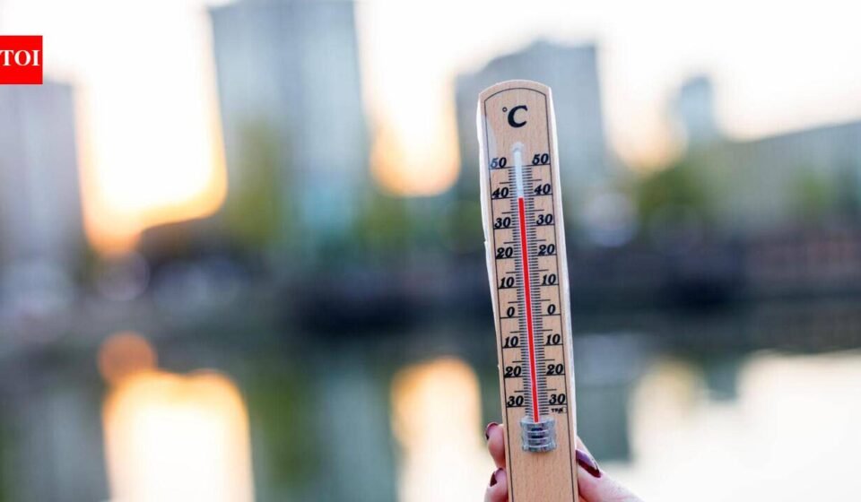 UK heatwave 2026: Temperatures set to peak at 36C during UK heatwave, health warning issued | World News