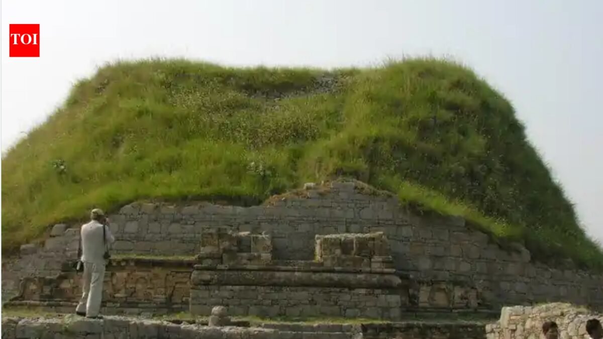 UNESCO warns Pakistan against 'reconstruction' of Vedic-era city Taxila