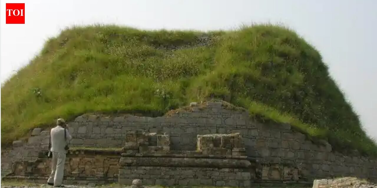 UNESCO warns Pakistan against 'reconstruction' of Vedic-era city Taxila