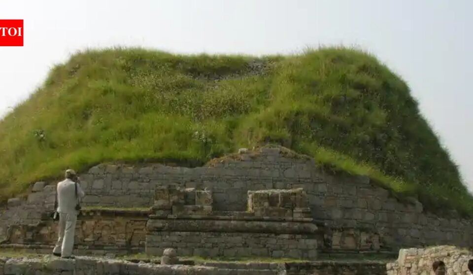 UNESCO warns Pakistan against 'reconstruction' of Vedic-era city Taxila