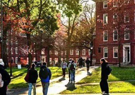 U.S. investigates Harvard financial aid program