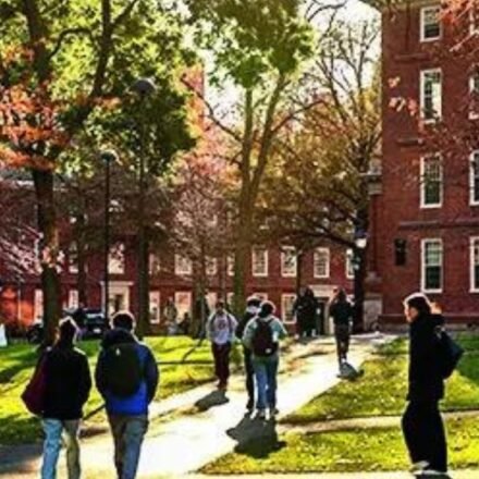 U.S. investigates Harvard financial aid program