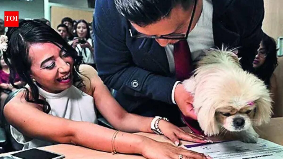 Until Death Makes Us Bark: 'Paws' Begins, Pets Act as Witnesses at Ecuadorian Wedding