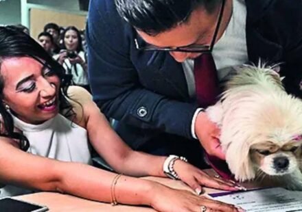 Until Death Makes Us Bark: 'Paws' Begins, Pets Act as Witnesses at Ecuadorian Wedding