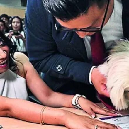 Until Death Makes Us Bark: 'Paws' Begins, Pets Act as Witnesses at Ecuadorian Wedding
