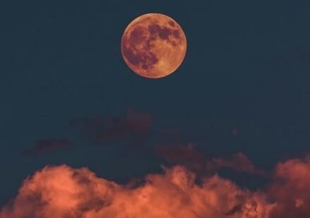 When can you see Buck Moon tonight? Find out the exact moonrise time for your state