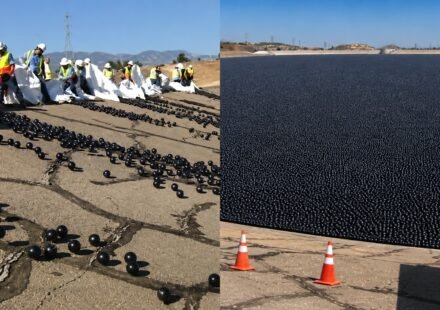 Why did Los Angeles throw 96 million black balls into its drinking water? world news