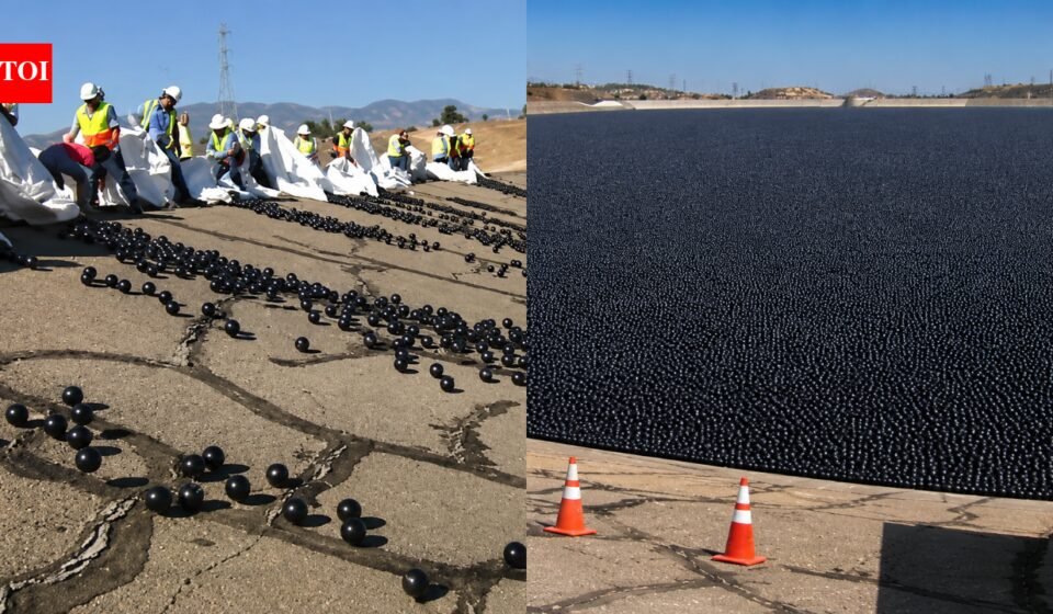 Why did Los Angeles throw 96 million black balls into its drinking water? world news