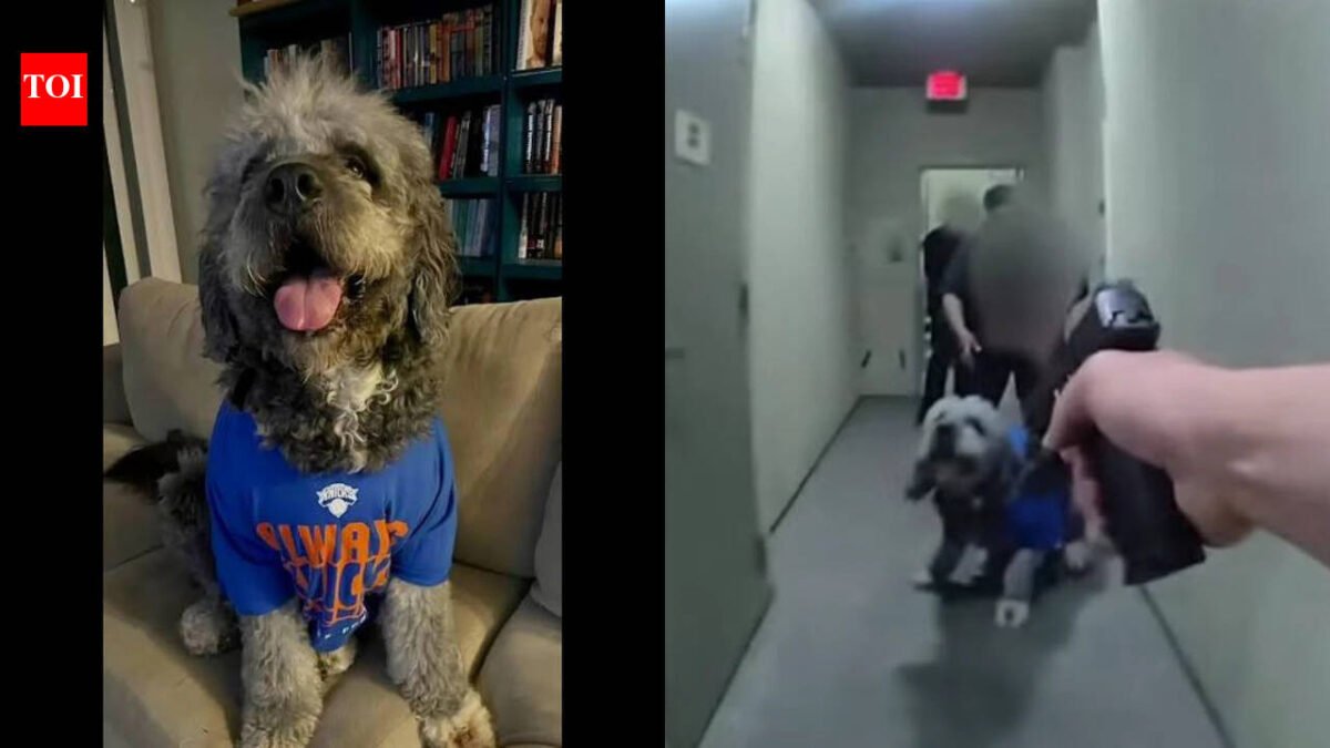 Woman whose dog was killed by LAPD cops sues police department: Jameson didn't growl at any of the officers or try to attack them