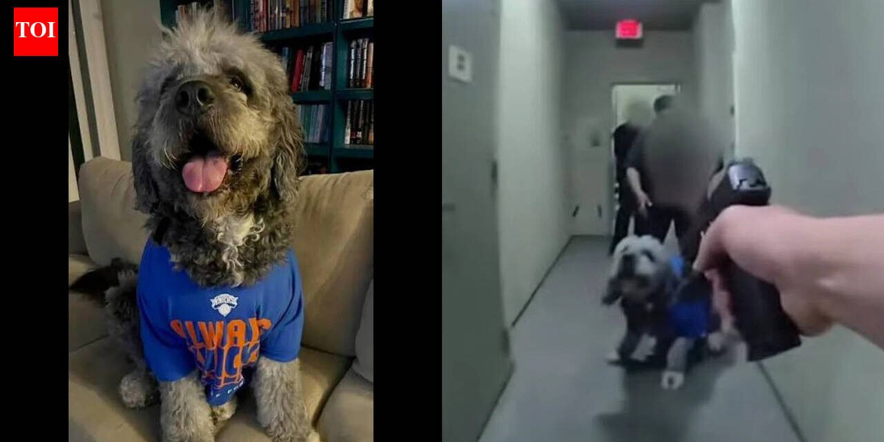 Woman whose dog was killed by LAPD cops sues police department: Jameson didn't growl at any of the officers or try to attack them