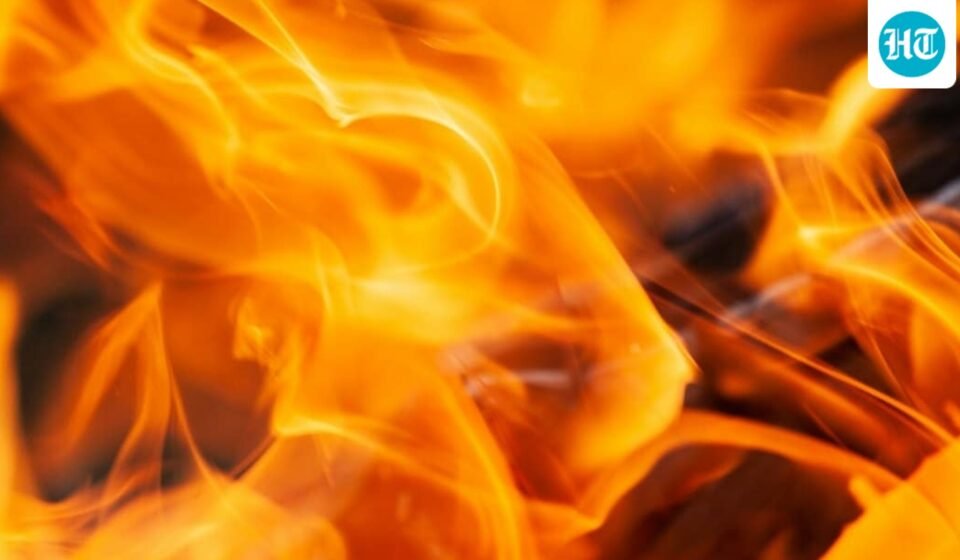 Wildfire burning in Nevada County, California. (UnSplash)