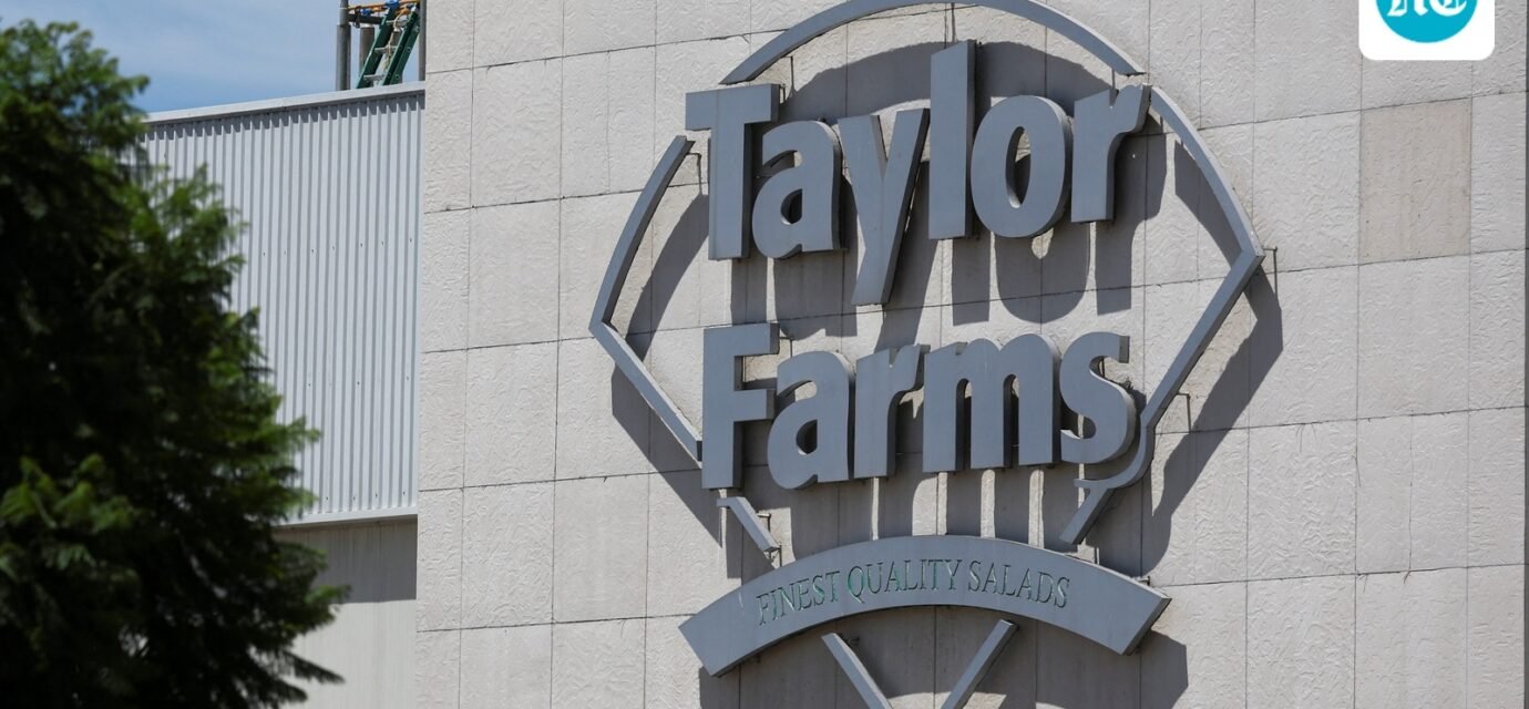 A new FDA report reveals 236,192 Taylor Farms lettuce cases and the major brands connected to the recall.. REUTERS/Daniel Becerril (REUTERS)