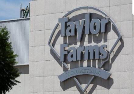 A new FDA report reveals 236,192 Taylor Farms lettuce cases and the major brands connected to the recall.. REUTERS/Daniel Becerril (REUTERS)