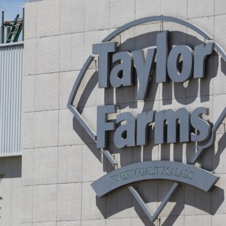 A new FDA report reveals 236,192 Taylor Farms lettuce cases and the major brands connected to the recall.. REUTERS/Daniel Becerril (REUTERS)