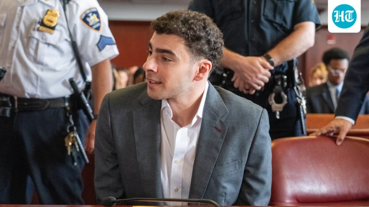 Luigi Mangione has pleaded guilty in the federal case. (Steven Hirsch/Pool New York Post)