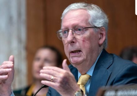 Mitch McConnell speaks during a Senate Committee on Appropriations subcommittee hearing on Capitol Hill in Washington, May 20. (AP Photo/Jose Luis Magana)