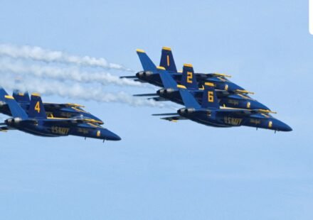 US Navy Blue Angels. (Credits: REUTERS/David Dee Delgado/File Photo) (REUTERS)