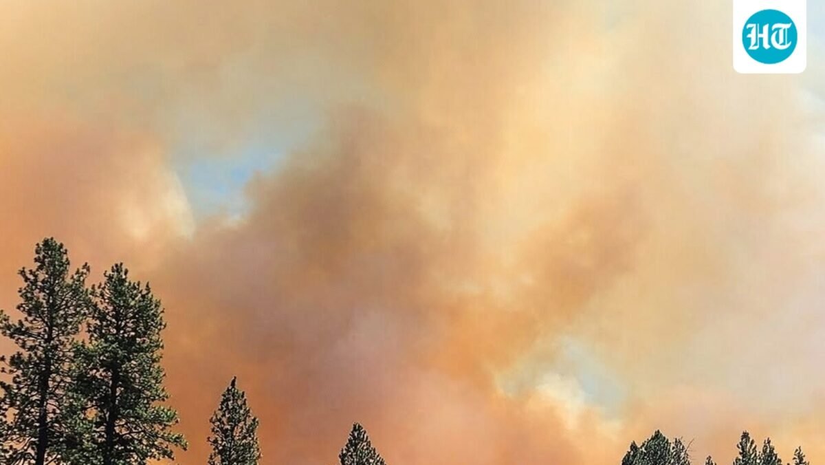 The Ross Fire has escalated to 50,000 acres with mandatory evacuations in effect as dry and windy conditions fuel multiple wildfires in the region. (Scott Crawford via AP)
