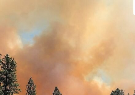 The Ross Fire has escalated to 50,000 acres with mandatory evacuations in effect as dry and windy conditions fuel multiple wildfires in the region. (Scott Crawford via AP)