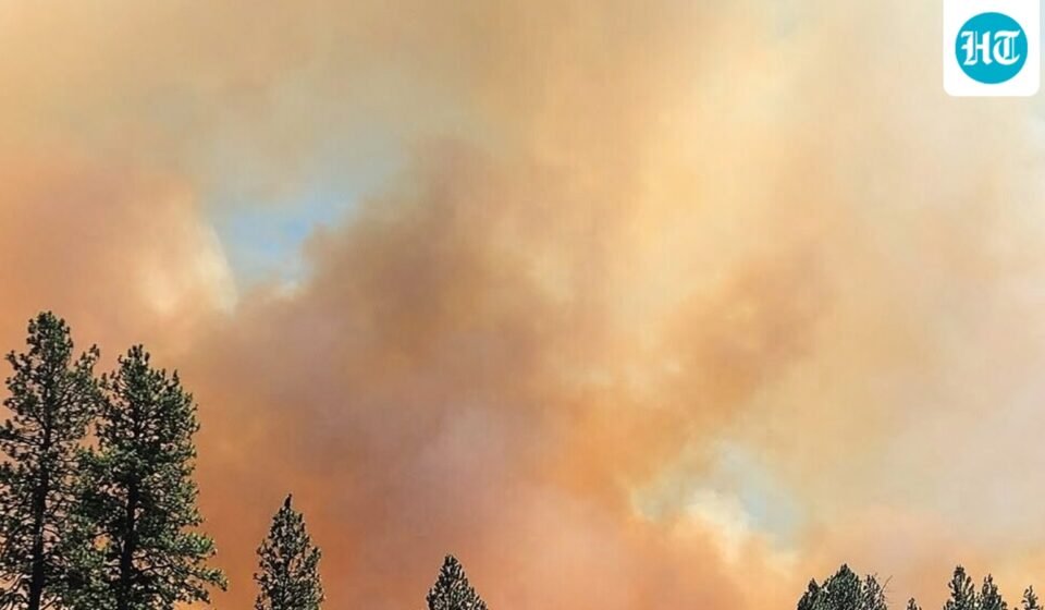 The Ross Fire has escalated to 50,000 acres with mandatory evacuations in effect as dry and windy conditions fuel multiple wildfires in the region. (Scott Crawford via AP)