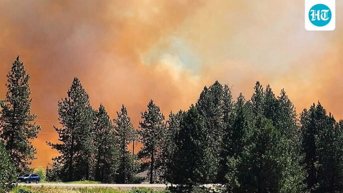 Smoke fills the sky over the Conejo Valley as the Kanan Fire burns near Thousand Oaks and Westlake Village. (Scott Crawford via AP/ representative)