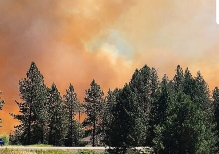 Smoke fills the sky over the Conejo Valley as the Kanan Fire burns near Thousand Oaks and Westlake Village. (Scott Crawford via AP/ representative)