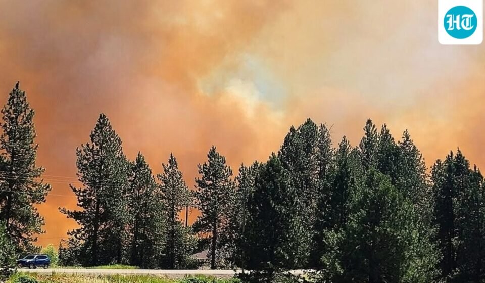 Smoke fills the sky over the Conejo Valley as the Kanan Fire burns near Thousand Oaks and Westlake Village. (Scott Crawford via AP/ representative)