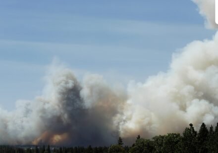 The Old Trails Fire is seen from the Centennial Trail near W. College Ave., in Spokane, Wash. (AP Photo/Young Kwak) (AP Photo/Young Kwak)
