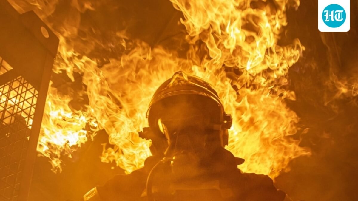 A two-acre brush fire near Dodson and Western Avenue in San Pedro has been stopped. (Unsplash/ representative image)