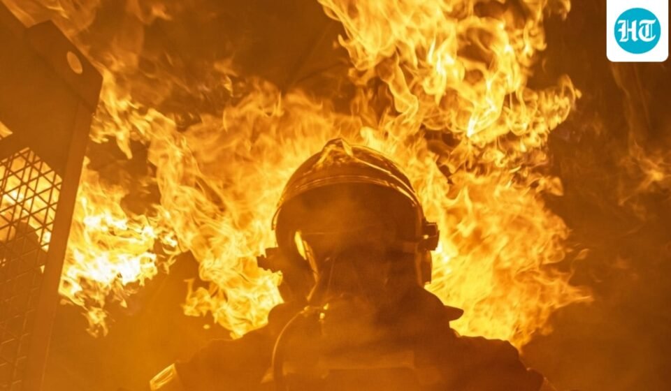 A two-acre brush fire near Dodson and Western Avenue in San Pedro has been stopped. (Unsplash/ representative image)