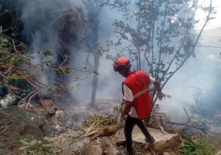 A rescue official works at the site of a tourist helicopter crash that caused multiple casualties, according to the police, in Samburu County, Kenya, August 19, 2026. (via REUTERS)