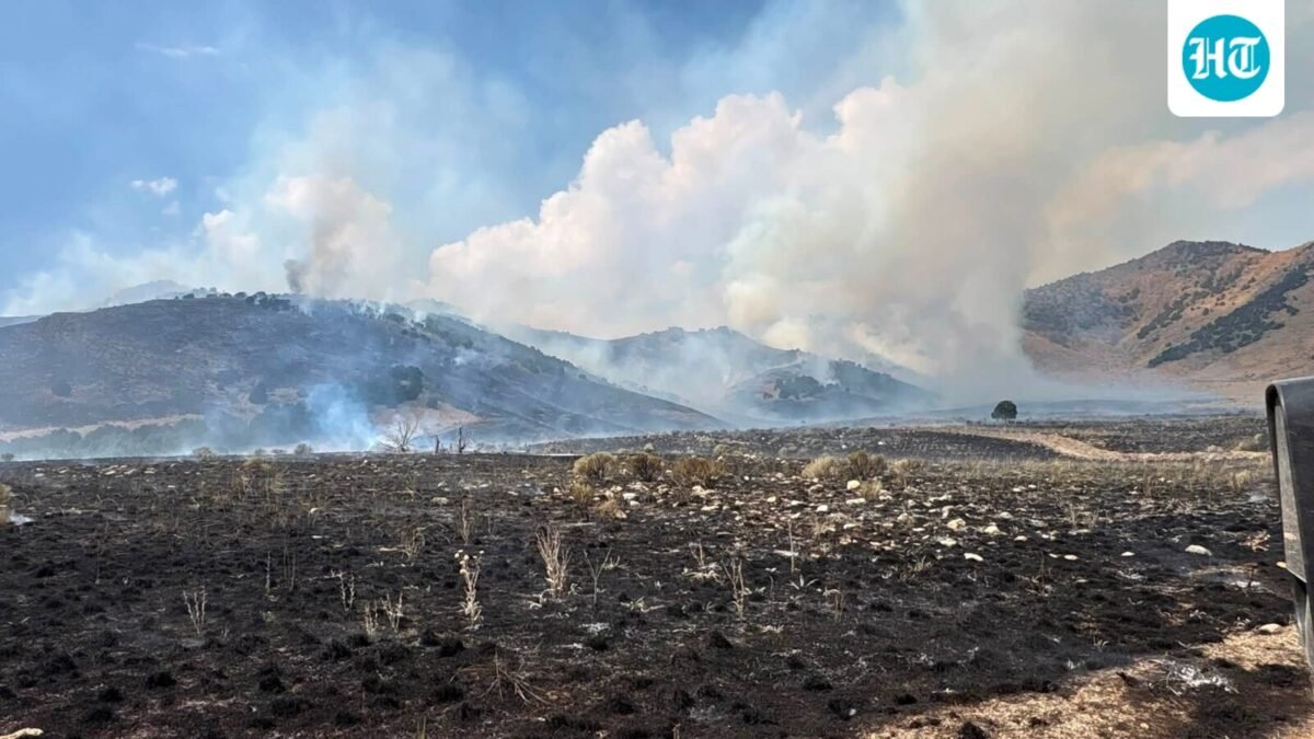 Destruction from the Brushy Canyon Fire caused smoke to be blown towards Logan, Utah. (Facebook/Utah Fire Info)