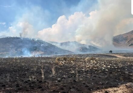 Destruction from the Brushy Canyon Fire caused smoke to be blown towards Logan, Utah. (Facebook/Utah Fire Info)