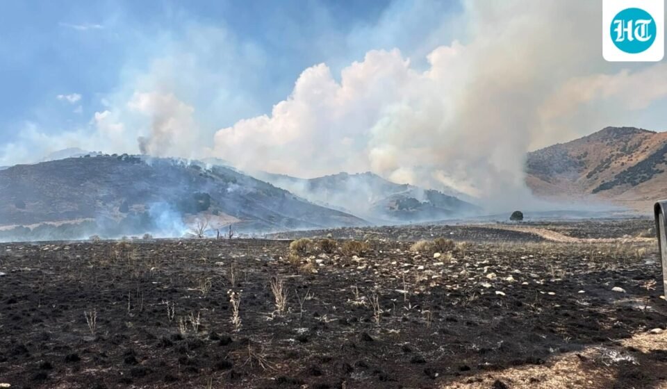 Destruction from the Brushy Canyon Fire caused smoke to be blown towards Logan, Utah. (Facebook/Utah Fire Info)