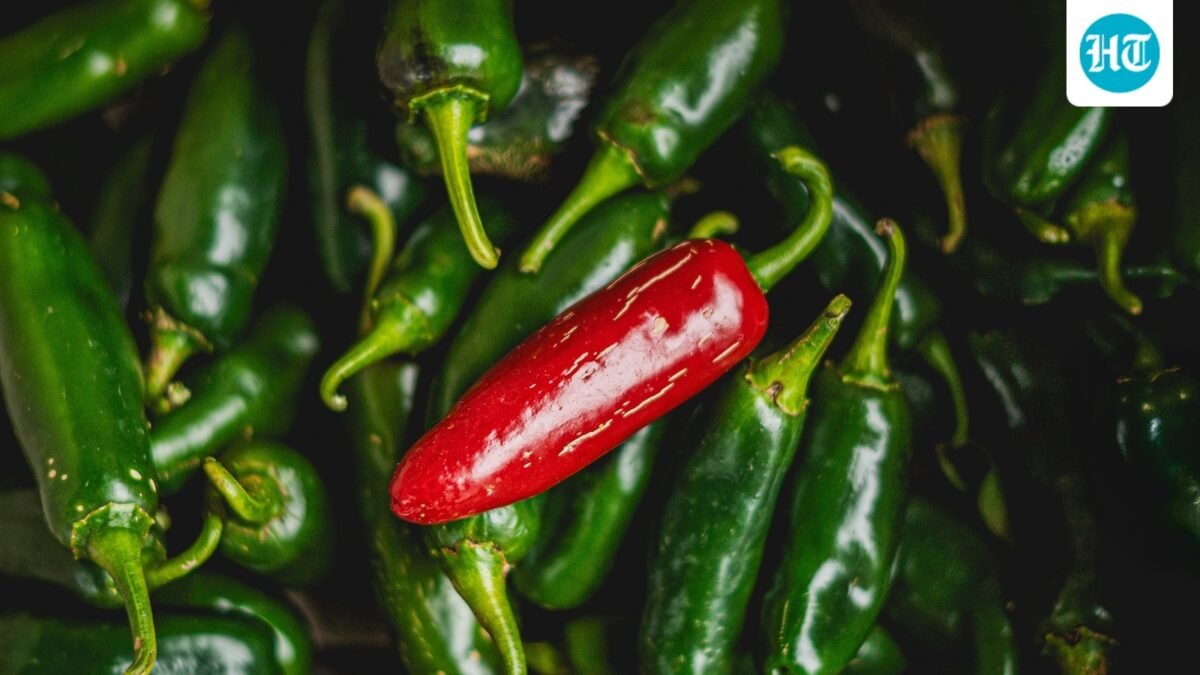 Taylor Farms recalls 20 jalapeno products as a Salmonella outbreak linked to jalapenos (Pexel/Representative image) (Pexel)