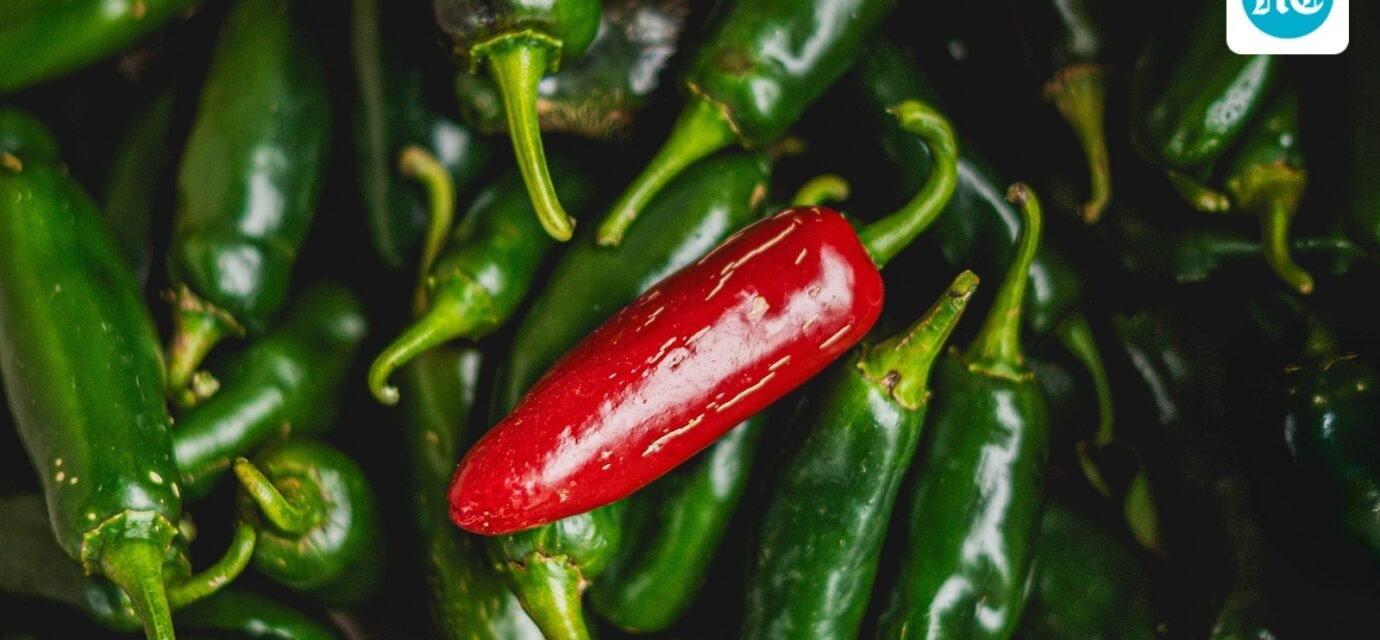 Taylor Farms recalls 20 jalapeno products as a Salmonella outbreak linked to jalapenos (Pexel/Representative image) (Pexel)