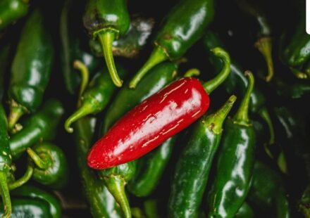 Taylor Farms recalls 20 jalapeno products as a Salmonella outbreak linked to jalapenos (Pexel/Representative image) (Pexel)