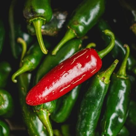 Taylor Farms recalls 20 jalapeno products as a Salmonella outbreak linked to jalapenos (Pexel/Representative image) (Pexel)