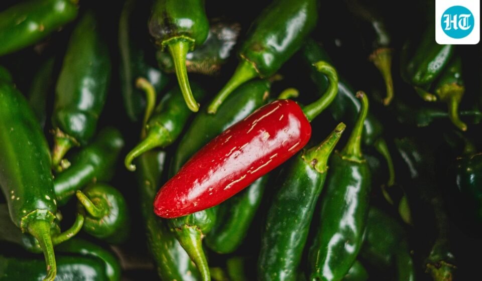 Taylor Farms recalls 20 jalapeno products as a Salmonella outbreak linked to jalapenos (Pexel/Representative image) (Pexel)