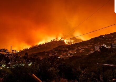 Spokane fire suspect Aaron Farinacci faces five arson charges as firefighters contain three wildfires. (via Unsplash)