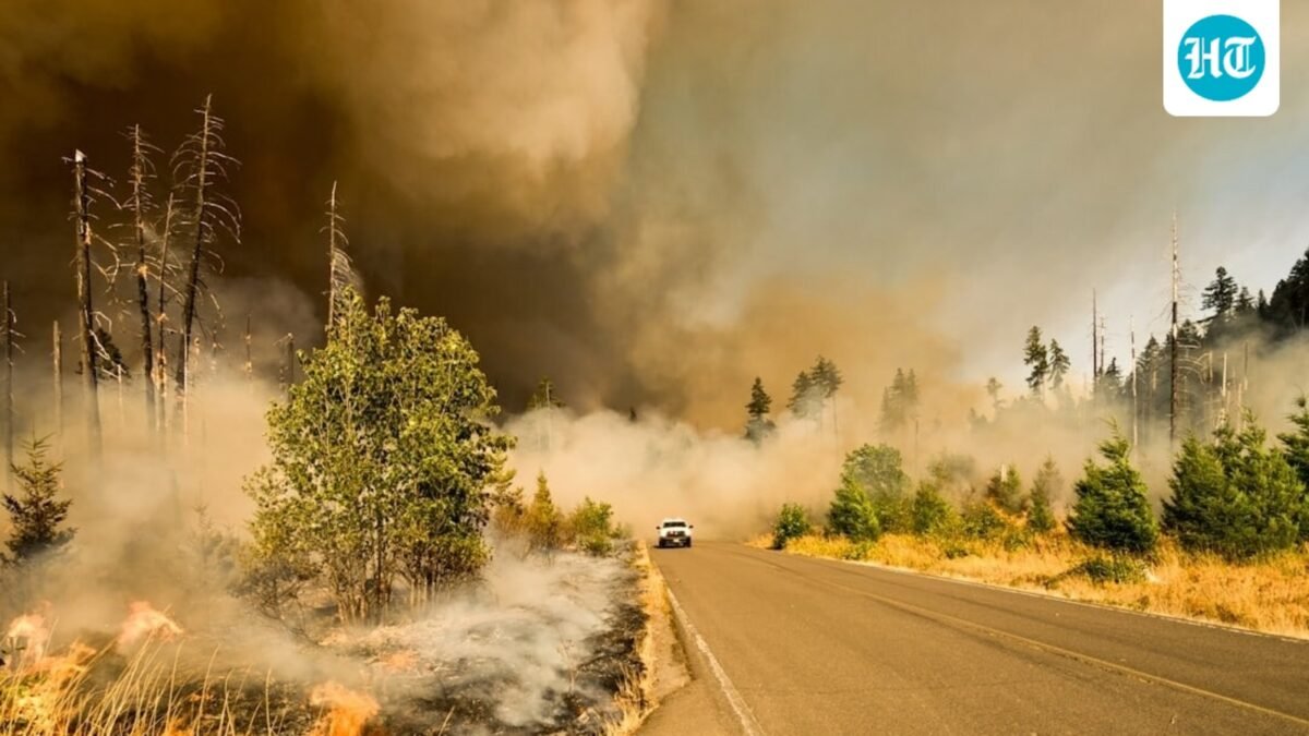 Multiple wildfires are burning across the Washington state. (UnSplash)