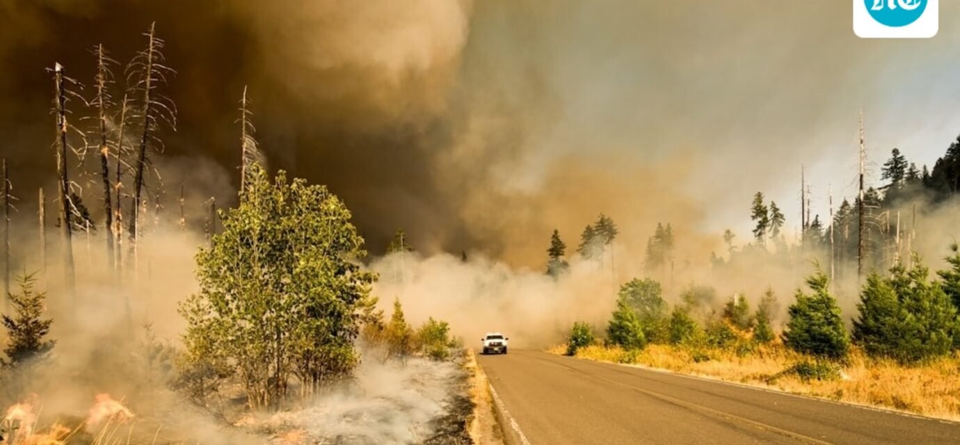 Multiple wildfires are burning across the Washington state. (UnSplash)